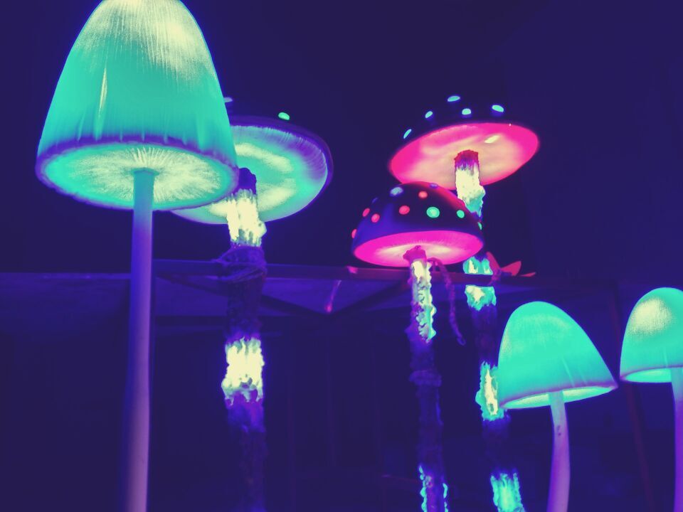 蘑菇灯光小品